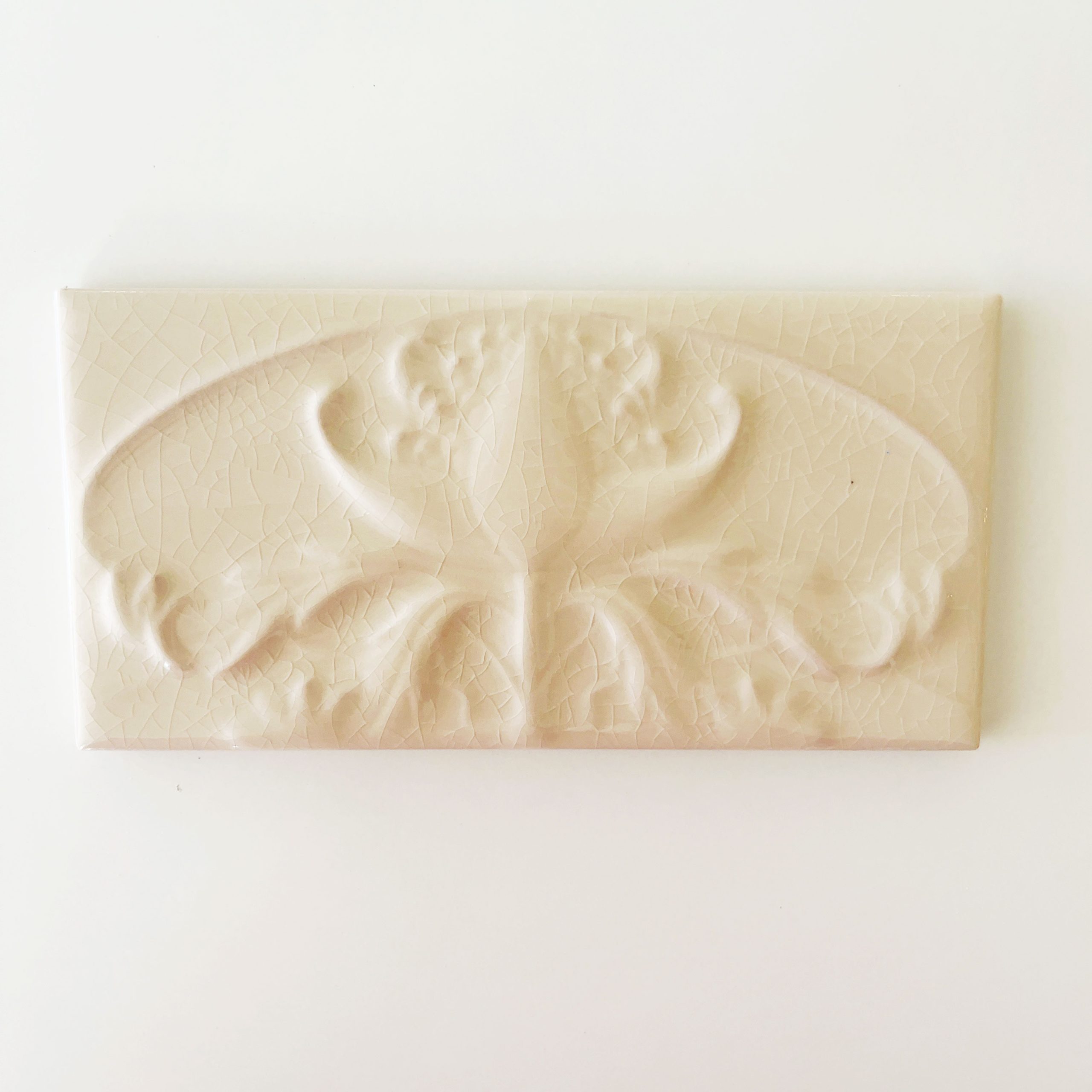 Antique White Waratah