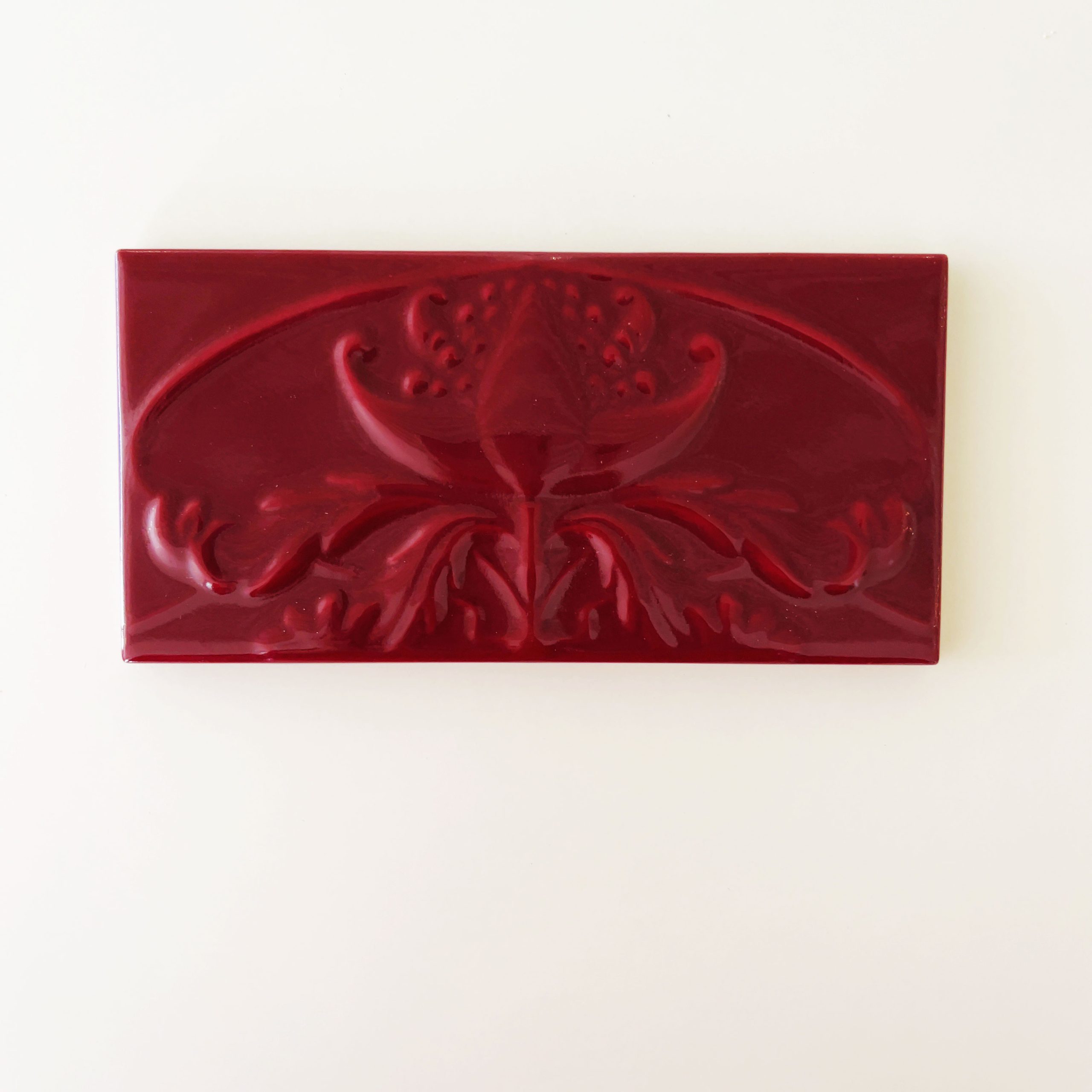 Burgundy Waratah