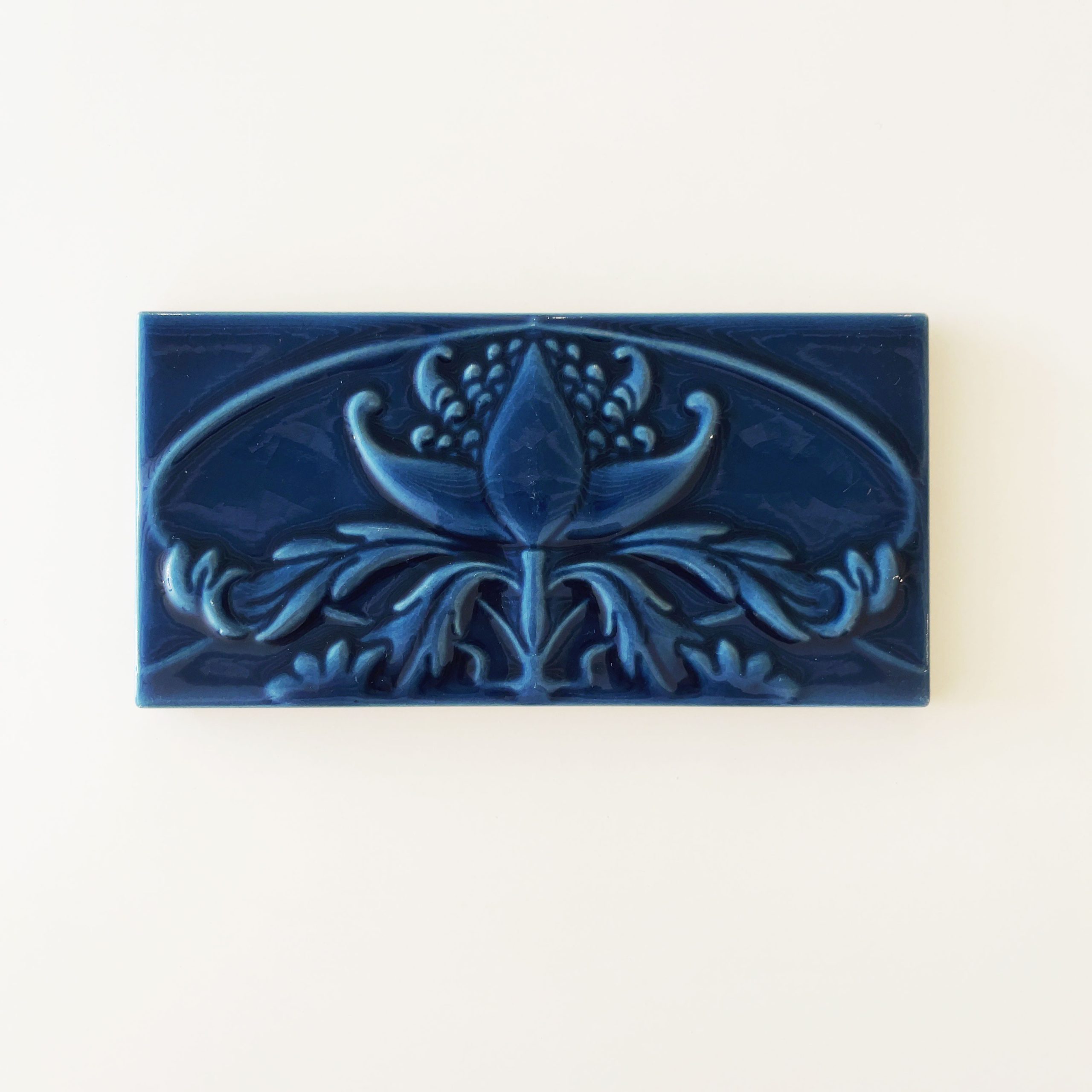 Teal Waratah
